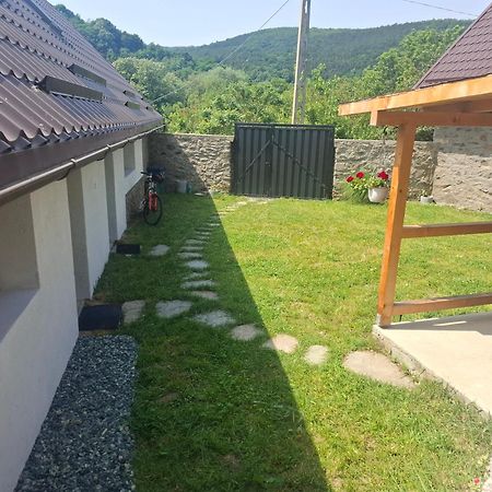 Вилла Casa Noua Саска-Монтанэ Экстерьер фото